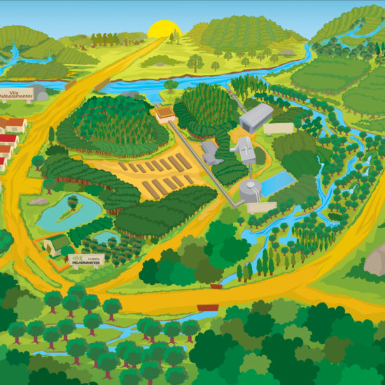 Ilustração Infográfico Relatório Anual Melhoramentos