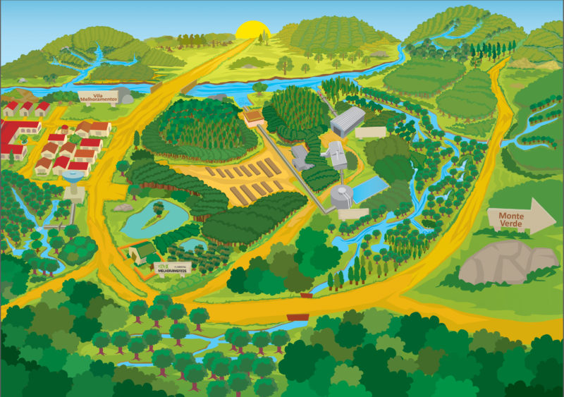 Ilustração Infográfico Relatório Anual Melhoramentos